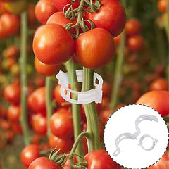 【🔥200 piezas】Clip de fijación para el crecimiento de plantas de plántula